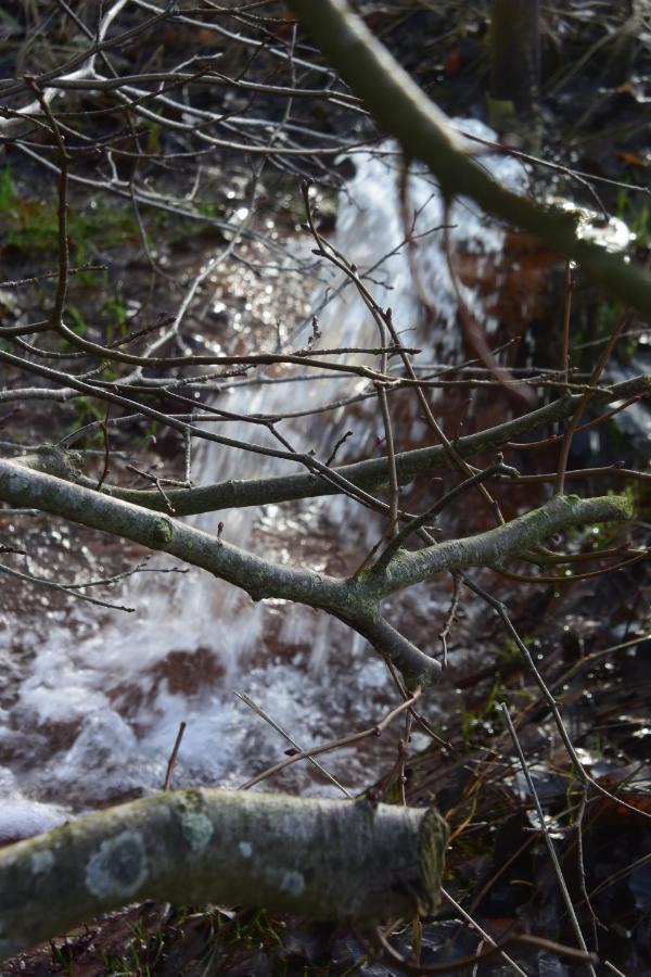 Vittebrook Διαμέρισμα Barsbek Εξωτερικό φωτογραφία